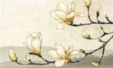 2023年4月10日可以提车吗 日子好不好