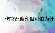 伤官配偏印很可怕为什么