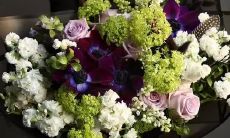 2023癸卯年3月嫁娶最吉利日子 好日子一览表