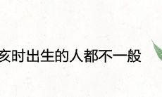 亥时出生的人都不一般为什么