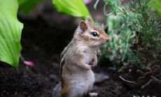 属鼠2022.10.19运势 想出好点子