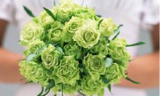 2023兔年3月嫁娶黄道吉日查询 宜出嫁娶亲佳期