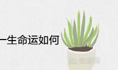 剑锋金命女孩的一生命运如何