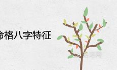 女命上等命格八字特征