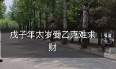 戊子年太岁受乙克难求财