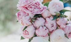 2023年新历2月适合嫁娶的好日子 结婚吉日一览表