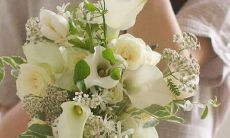 2023年3月29日宜婚嫁吗 农历腊月十五老黄历查询