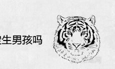 梦见老虎一定生男孩吗 有哪些预兆