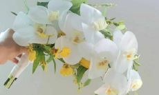 2023年3月24日宜出嫁娶妻吗 农历腊月初十老黄历查询