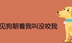 梦见狗朝着我叫没咬我是什么预兆