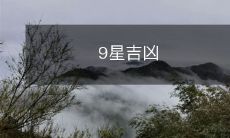 9星吉凶