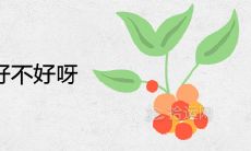 女人梦见蜘蛛好不好呀 有哪些寓意