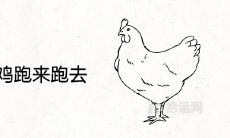 梦见好多鸡跑来跑去是什么预兆