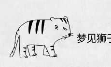 梦见狮子老虎同时出现是什么预兆