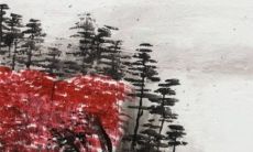 红盖头为什么不能随便掀 婚车上新娘能不能掀盖头