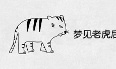 梦见老虎后真的好运吗 周公解梦有哪些预兆