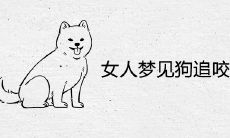 女人梦见狗追咬是吉兆吗 代表着什么寓意