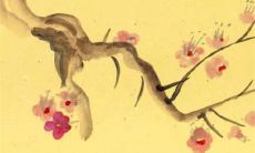 接新娘的人穿什么衣服合适 接新娘的女生叫什么