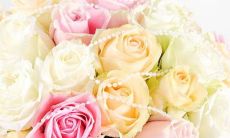 2023年二月份结婚黄道吉日查询 2023年农历二月哪天适合结婚