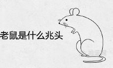 梦见追打老鼠是什么兆头