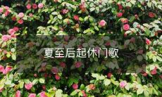 夏至后起休门歌