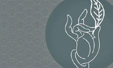 梦见狮子袭击他人是什么兆头