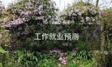 工作就业预测