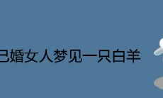 已婚女人梦见一只白羊是什么意思