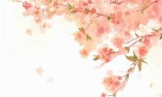 2023年阴历一月适合店铺开张的好日子 最佳吉日一览表