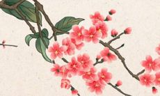 2023年1月18日开张好吗 今日营业怎么样