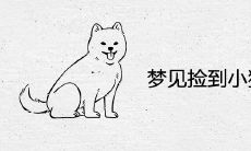 梦见捡到小狗崽带回家是什么兆头