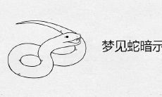 梦见蛇暗示怀孕吗 有哪些解梦预兆