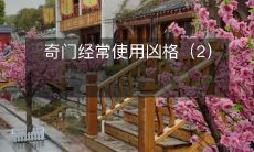 奇门经常使用凶格(2)