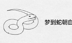 梦到蛇朝自己冲过来是什么兆头