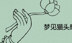 梦见猫头鹰真的会死吗 代表哪些预兆