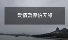 爱情暂停怕无缘
