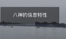 八神的信息特性