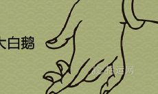 女人梦见一只大白鹅是什么预兆