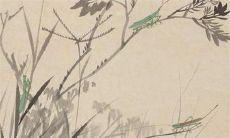 2023年4月20日谷雨适宜提车吗 这天日子如何