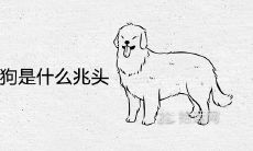 女人梦见一群狗是什么兆头