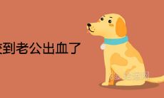 梦到狗咬到老公出血了是什么兆头