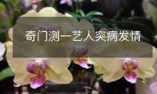 奇门测一艺人突病发情