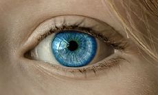 内眼角尖尖下钩是什么眼 都有哪些眼形