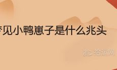 女人梦见小鸭崽子是什么兆头