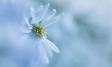 此命局又为魁罡格什么意思 魁罡格的人怎么样