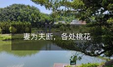 妻为夫断，各处桃花