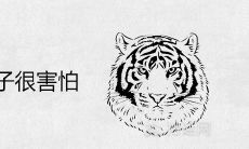 梦见躲老虎狮子很害怕是什么预兆