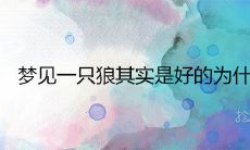 梦见一只狼其实是好的为什么 周公解梦中有哪些预兆