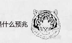 男人梦见老虎是什么预兆