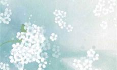 2023年3月20日嫁娶日子吉利吗 农历腊月十四日子分析